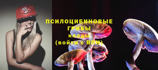 таблы Богородицк