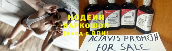 таблы Богородицк