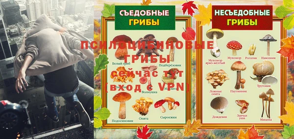 марки nbome Богданович