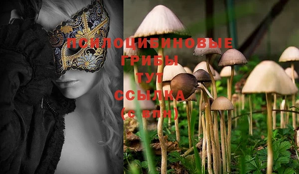 марки nbome Богданович
