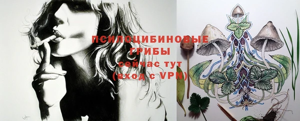 марки nbome Богданович