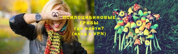 марки nbome Богданович